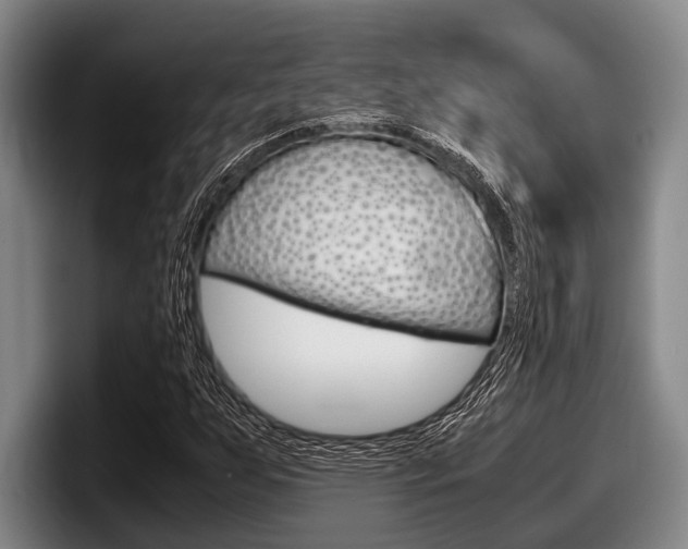 X0000098001255200803241034