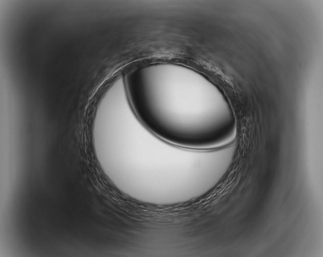 X0000098001256200803241034