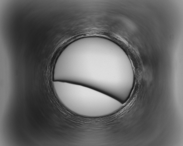 X0000098001259200803241034
