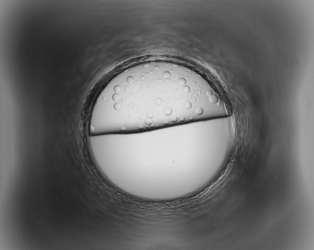 X0000098001263200803241034