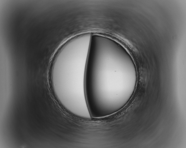 X0000098001264200803241034