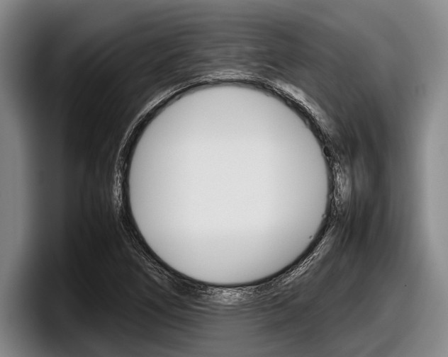 X0000098001266200803241034