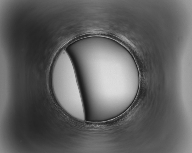 X0000098001269200803241034
