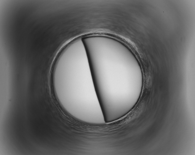 X0000098001271200803241034