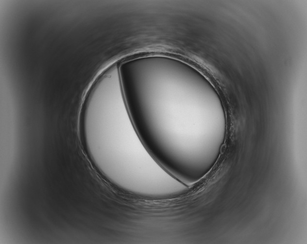 X0000098001272200803241034