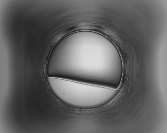 X0000098001273200803241034