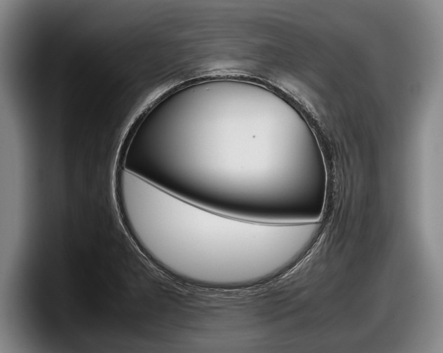 X0000098001277200803241034