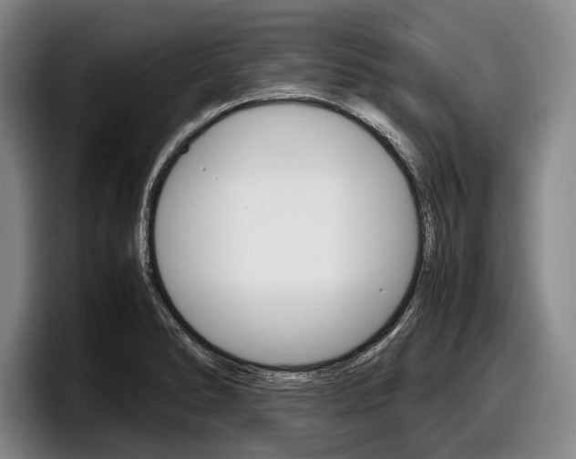 X0000098001278200803241034