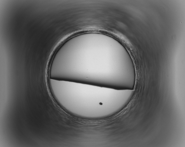 X0000098001279200803241034