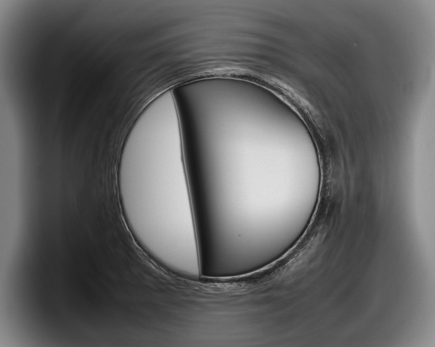 X0000098001281200803241034