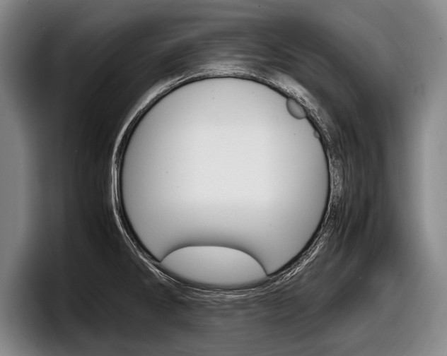 X0000098001286200803241034