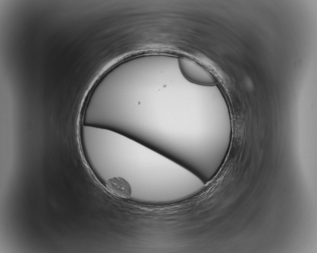 X0000098001287200803241034