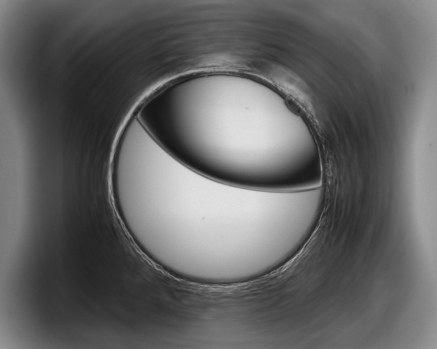 X0000098001288200803241034