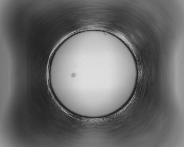 X0000098001294200803241034