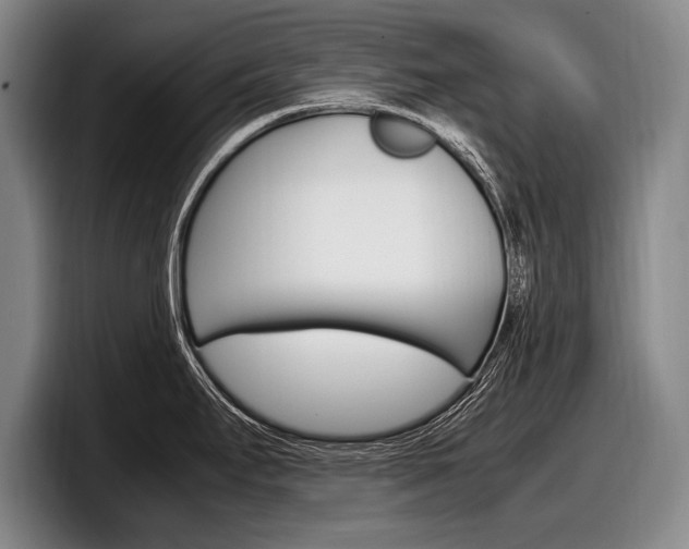 X0000098001295200803241034