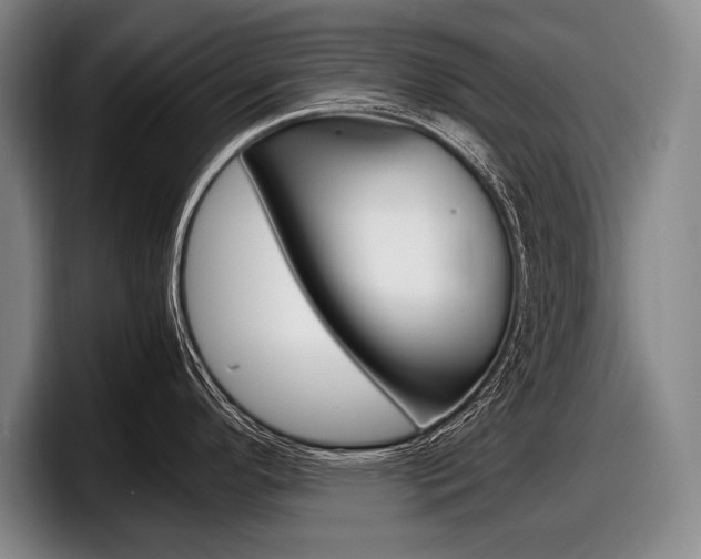 X0000098001296200803241034