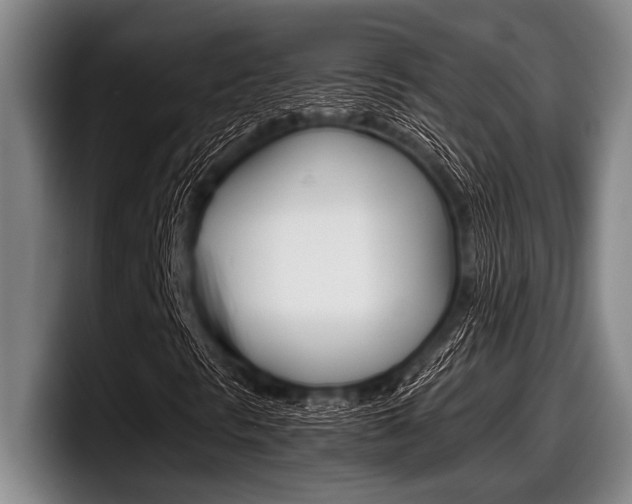 X0000098001297200803241033