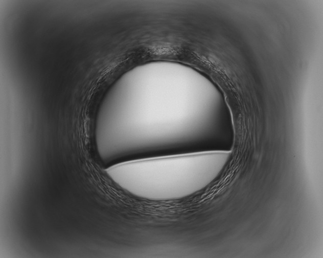 X0000098001301200803241033