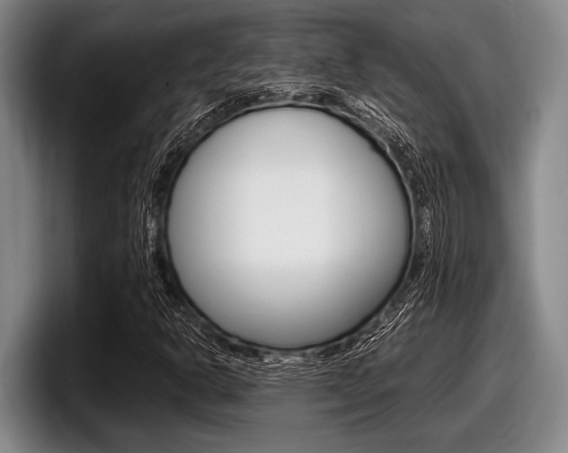 X0000098001302200803241033