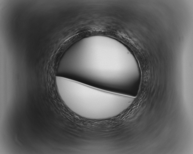 X0000098001303200803241033