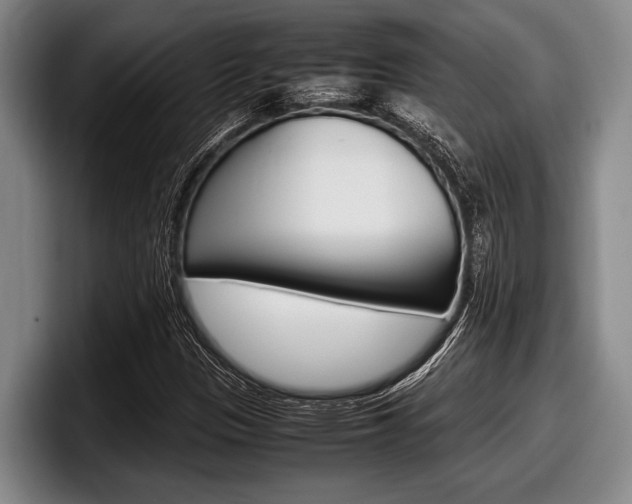 X0000098001305200803241033