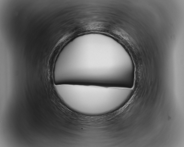 X0000098001306200803241033