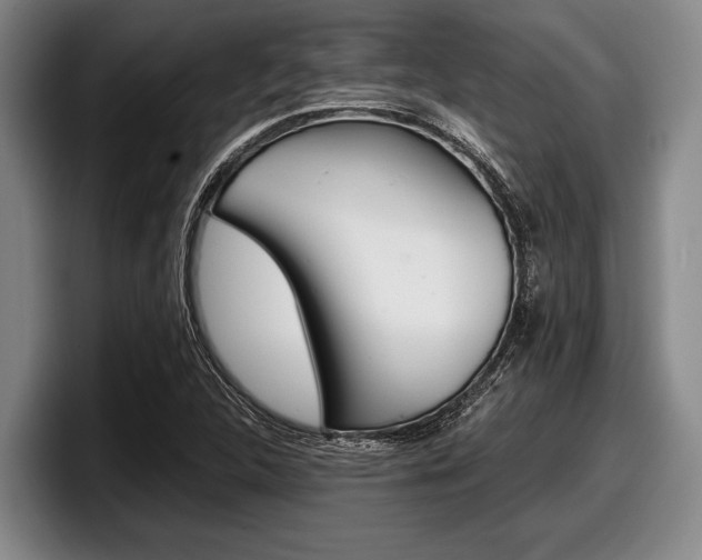 X0000098001312200803241034