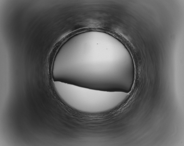 X0000098001315200803241034