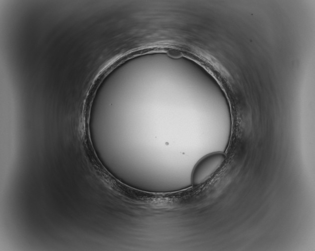 X0000098001316200803241034