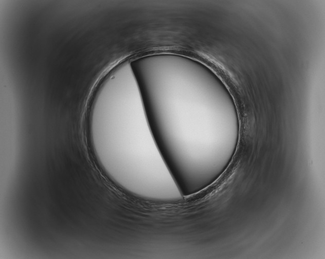 X0000098001317200803241034