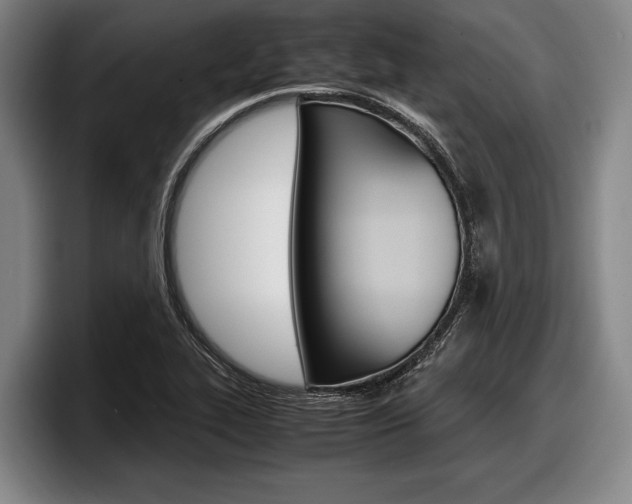 X0000098001319200803241034