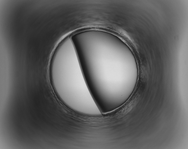 X0000098001320200803241034