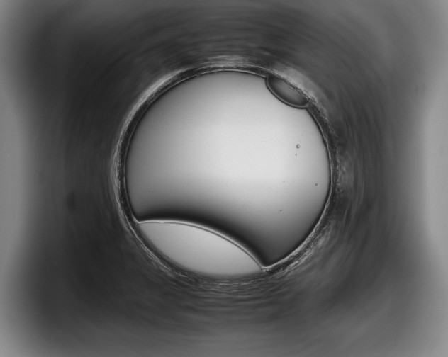 X0000098001325200803241034