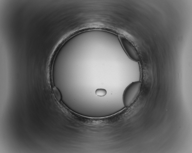 X0000098001326200803241034