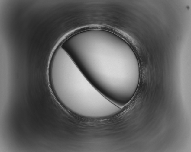 X0000098001327200803241034