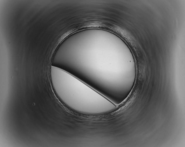 X0000098001329200803241034