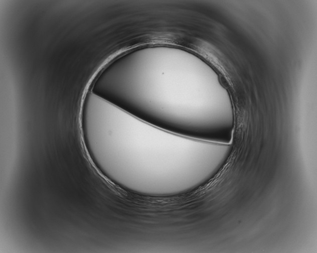 X0000098001339200803241034