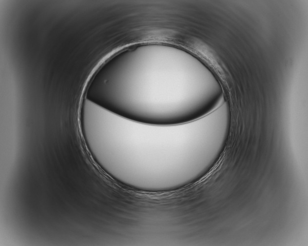 X0000098001340200803241034