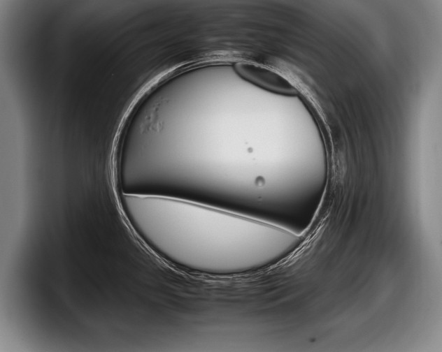 X0000098001341200803241034