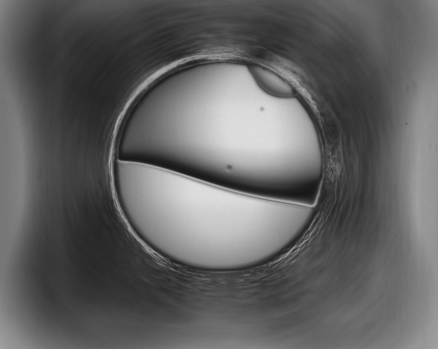 X0000098001343200803241034