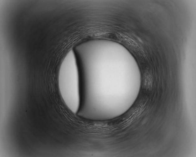 X0000098001346200803241033