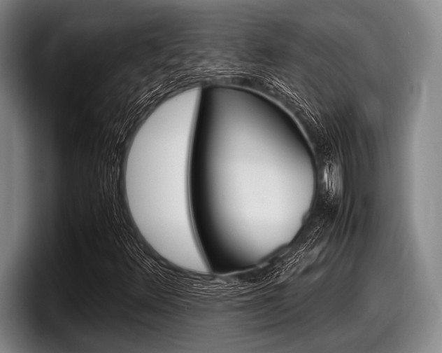 X0000098001348200803241033