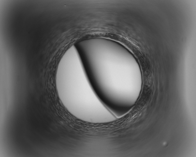 X0000098001351200803241033