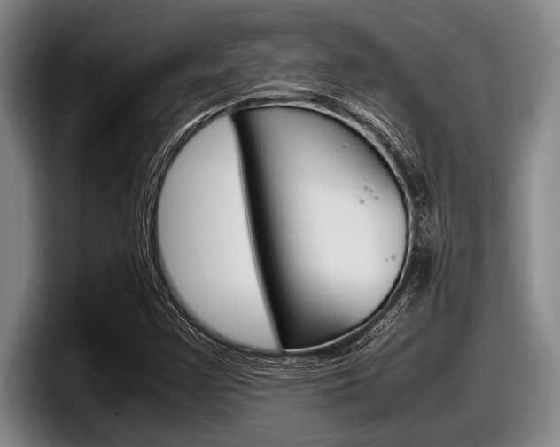 X0000098001355200803241033