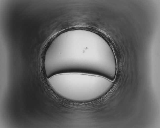 X0000098001359200803241033
