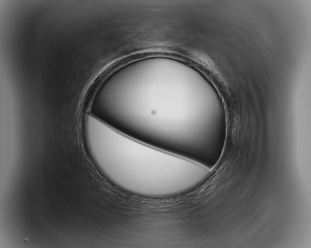 X0000098001360200803241033