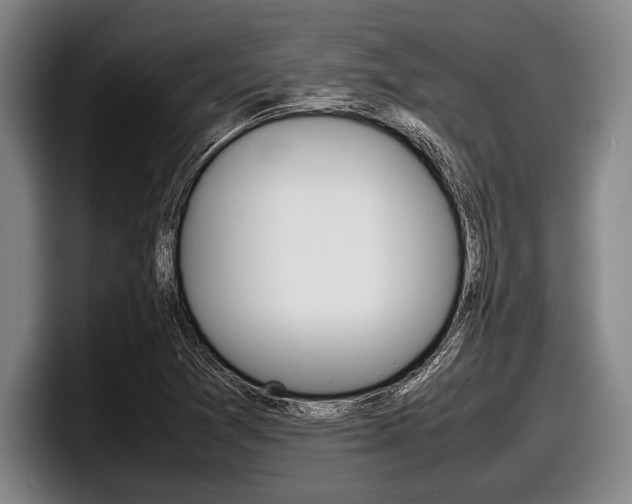 X0000098001361200803241033