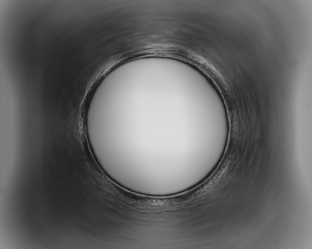X0000098001362200803241033