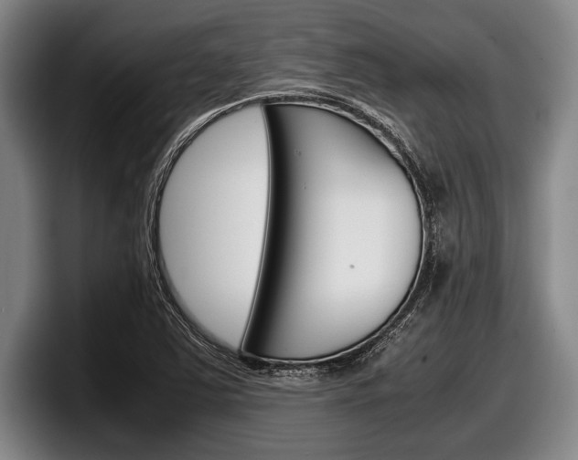X0000098001363200803241033