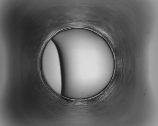 X0000098001365200803241033